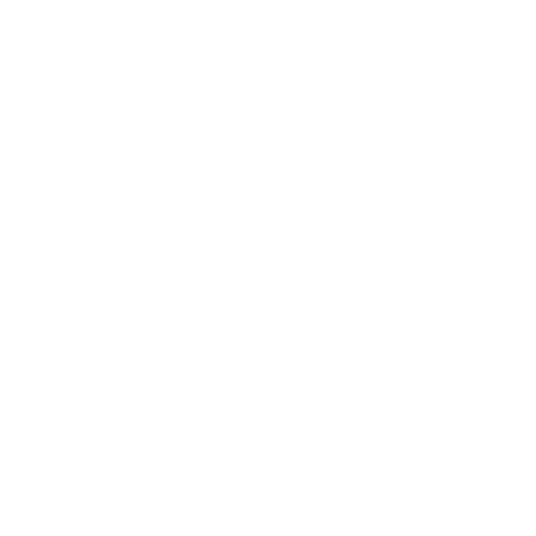 Mongo Skateboarding